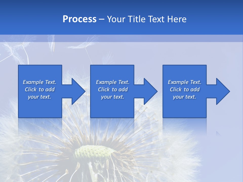 A Dandelion With A Blue Sky In The Background PowerPoint Template