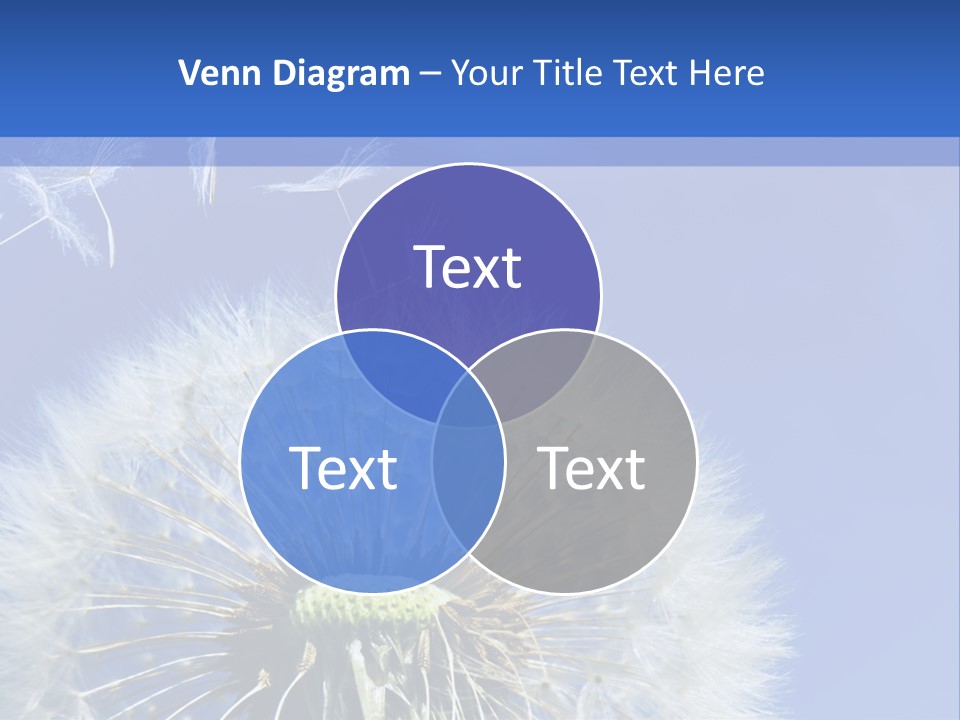 A Dandelion With A Blue Sky In The Background PowerPoint Template