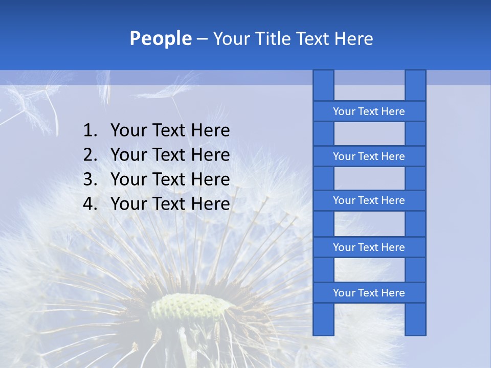 A Dandelion With A Blue Sky In The Background PowerPoint Template