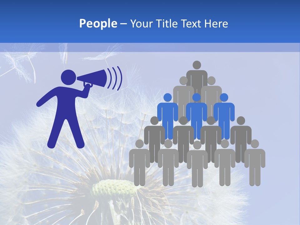 A Dandelion With A Blue Sky In The Background PowerPoint Template