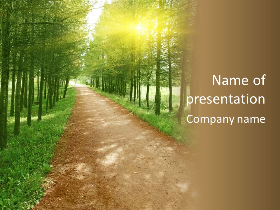 A Dirt Road In The Middle Of A Green Forest PowerPoint Template