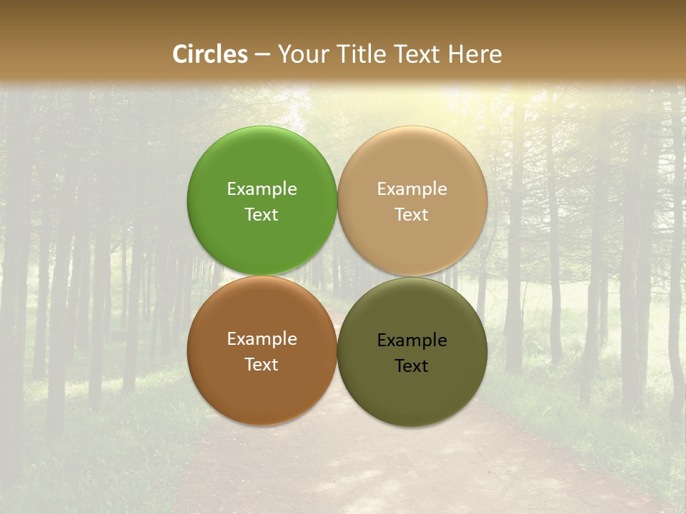 A Dirt Road In The Middle Of A Green Forest PowerPoint Template