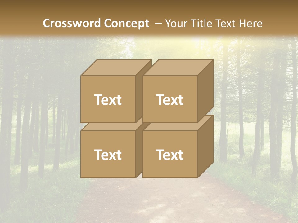 A Dirt Road In The Middle Of A Green Forest PowerPoint Template