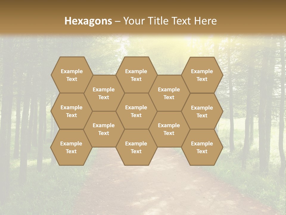 A Dirt Road In The Middle Of A Green Forest PowerPoint Template