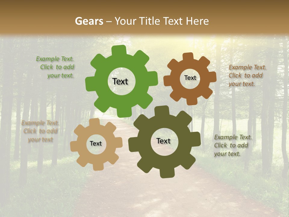 A Dirt Road In The Middle Of A Green Forest PowerPoint Template