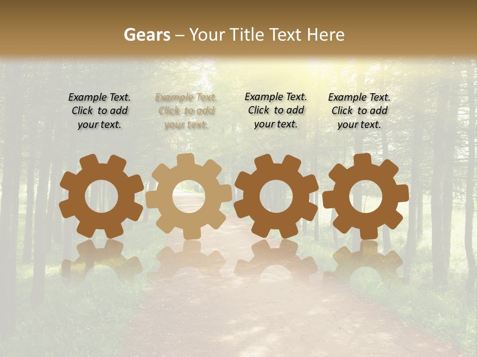 A Dirt Road In The Middle Of A Green Forest PowerPoint Template