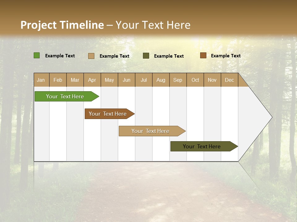 A Dirt Road In The Middle Of A Green Forest PowerPoint Template