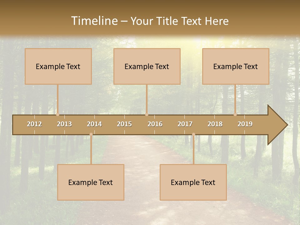 A Dirt Road In The Middle Of A Green Forest PowerPoint Template