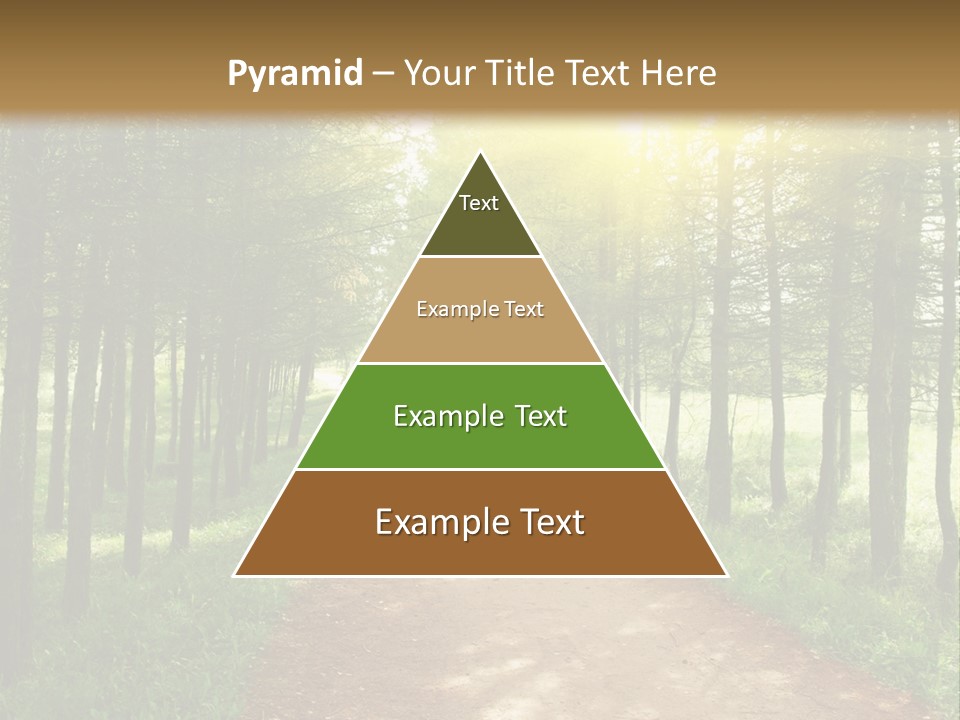 A Dirt Road In The Middle Of A Green Forest PowerPoint Template