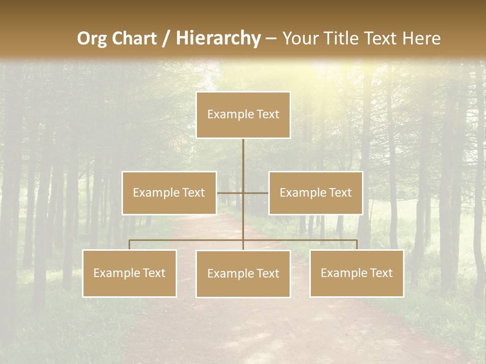 A Dirt Road In The Middle Of A Green Forest PowerPoint Template