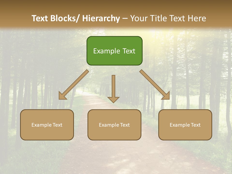 A Dirt Road In The Middle Of A Green Forest PowerPoint Template