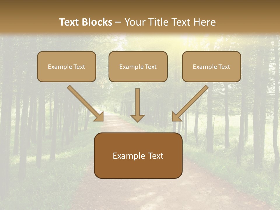 A Dirt Road In The Middle Of A Green Forest PowerPoint Template