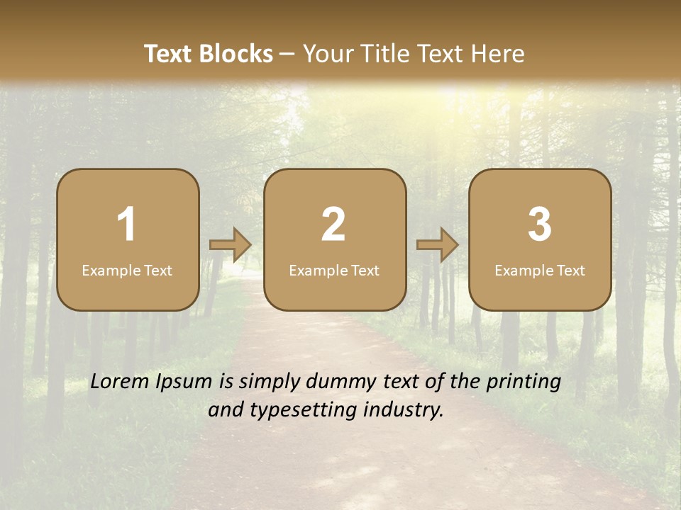 A Dirt Road In The Middle Of A Green Forest PowerPoint Template