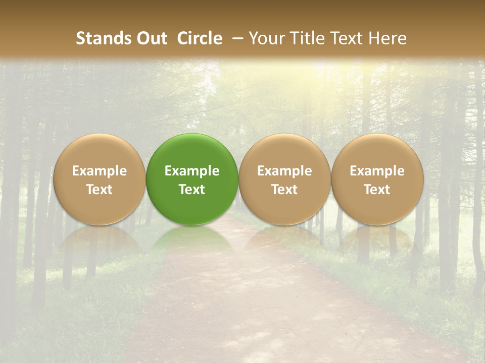 A Dirt Road In The Middle Of A Green Forest PowerPoint Template