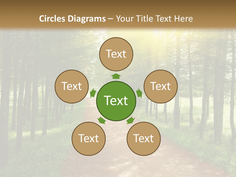 A Dirt Road In The Middle Of A Green Forest PowerPoint Template