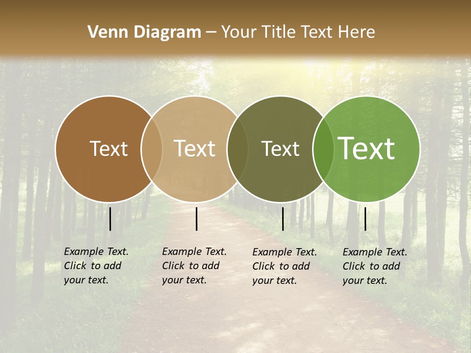 A Dirt Road In The Middle Of A Green Forest PowerPoint Template