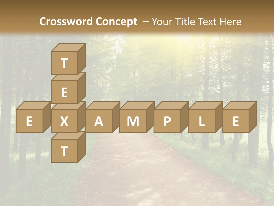 A Dirt Road In The Middle Of A Green Forest PowerPoint Template