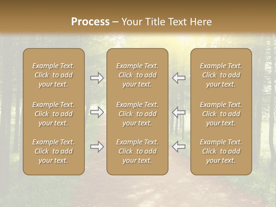 A Dirt Road In The Middle Of A Green Forest PowerPoint Template