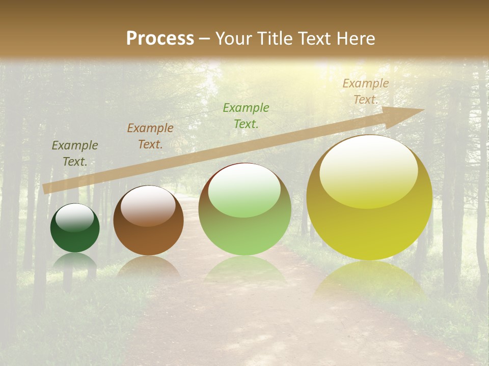 A Dirt Road In The Middle Of A Green Forest PowerPoint Template