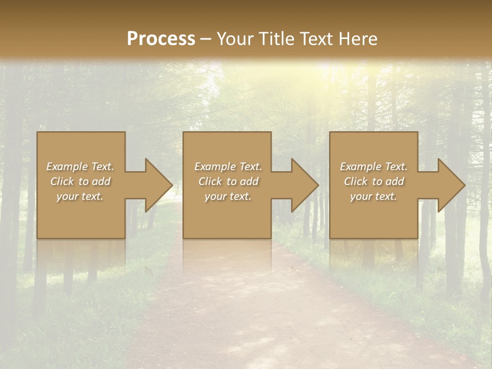 A Dirt Road In The Middle Of A Green Forest PowerPoint Template