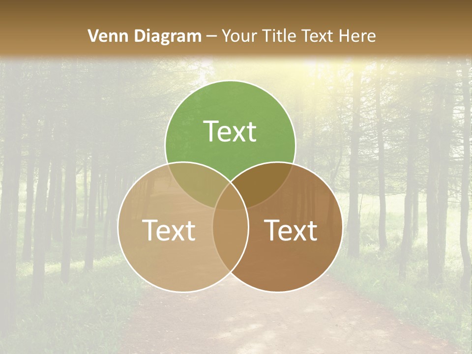 A Dirt Road In The Middle Of A Green Forest PowerPoint Template