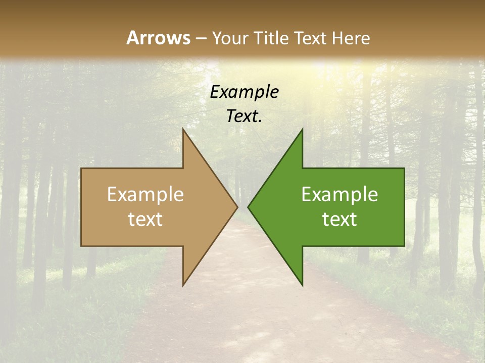 A Dirt Road In The Middle Of A Green Forest PowerPoint Template