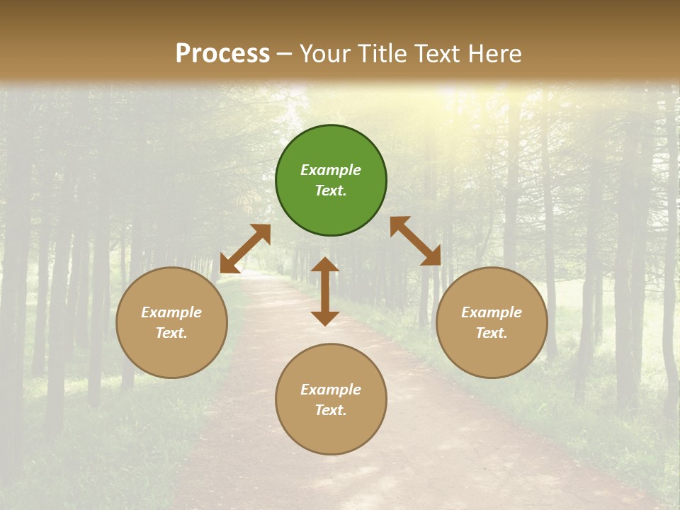 A Dirt Road In The Middle Of A Green Forest PowerPoint Template