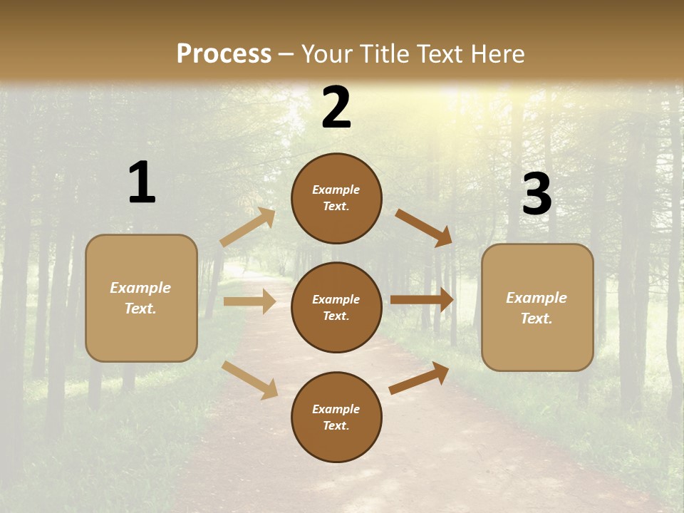 A Dirt Road In The Middle Of A Green Forest PowerPoint Template