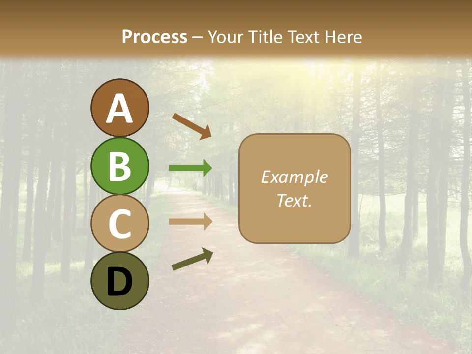 A Dirt Road In The Middle Of A Green Forest PowerPoint Template