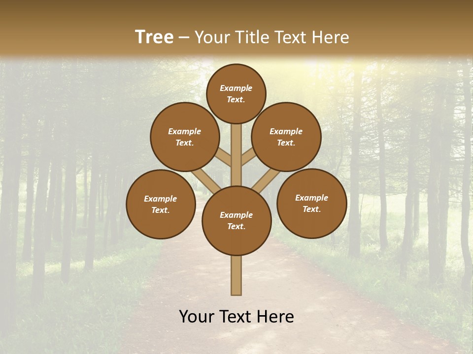 A Dirt Road In The Middle Of A Green Forest PowerPoint Template