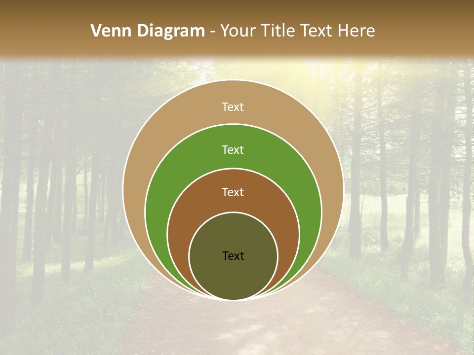 A Dirt Road In The Middle Of A Green Forest PowerPoint Template