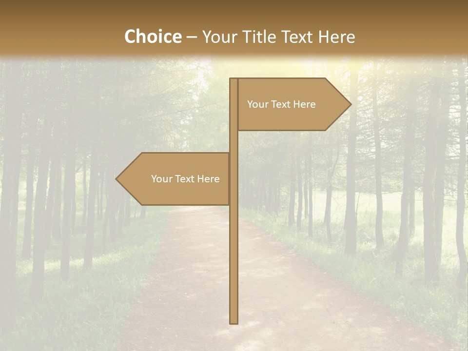 A Dirt Road In The Middle Of A Green Forest PowerPoint Template