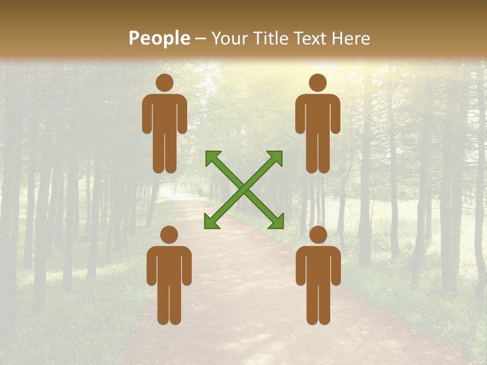 A Dirt Road In The Middle Of A Green Forest PowerPoint Template