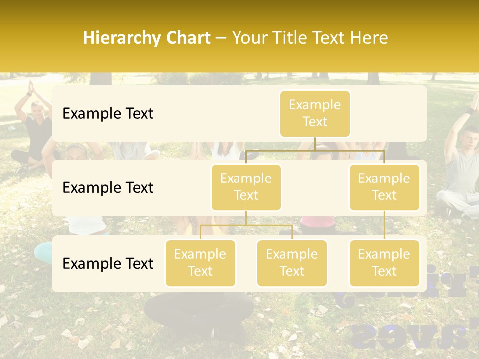 A Group Of People Doing Yoga In A Park PowerPoint Template