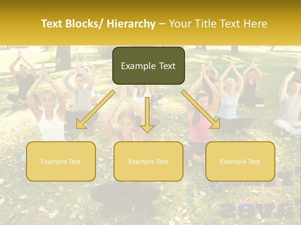 A Group Of People Doing Yoga In A Park PowerPoint Template