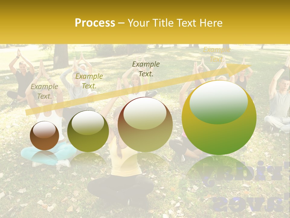 A Group Of People Doing Yoga In A Park PowerPoint Template