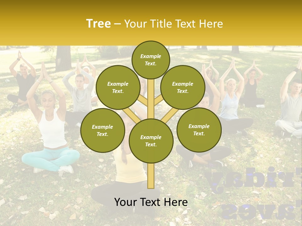 A Group Of People Doing Yoga In A Park PowerPoint Template