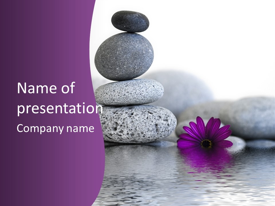 A Purple Flower Sitting On Top Of A Pile Of Rocks PowerPoint Template