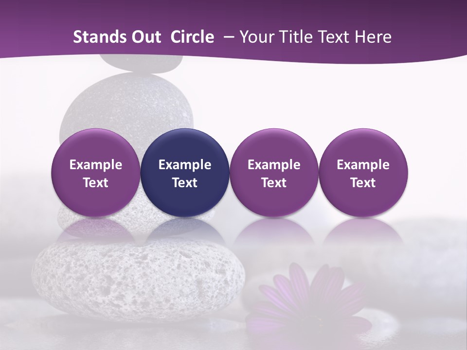 A Purple Flower Sitting On Top Of A Pile Of Rocks PowerPoint Template