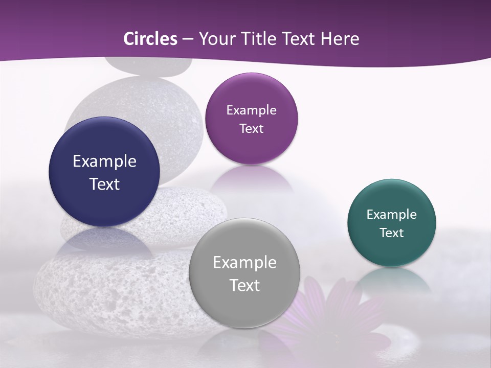 A Purple Flower Sitting On Top Of A Pile Of Rocks PowerPoint Template