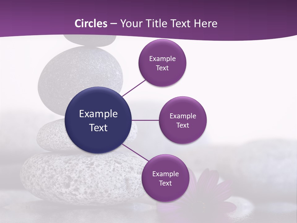 A Purple Flower Sitting On Top Of A Pile Of Rocks PowerPoint Template