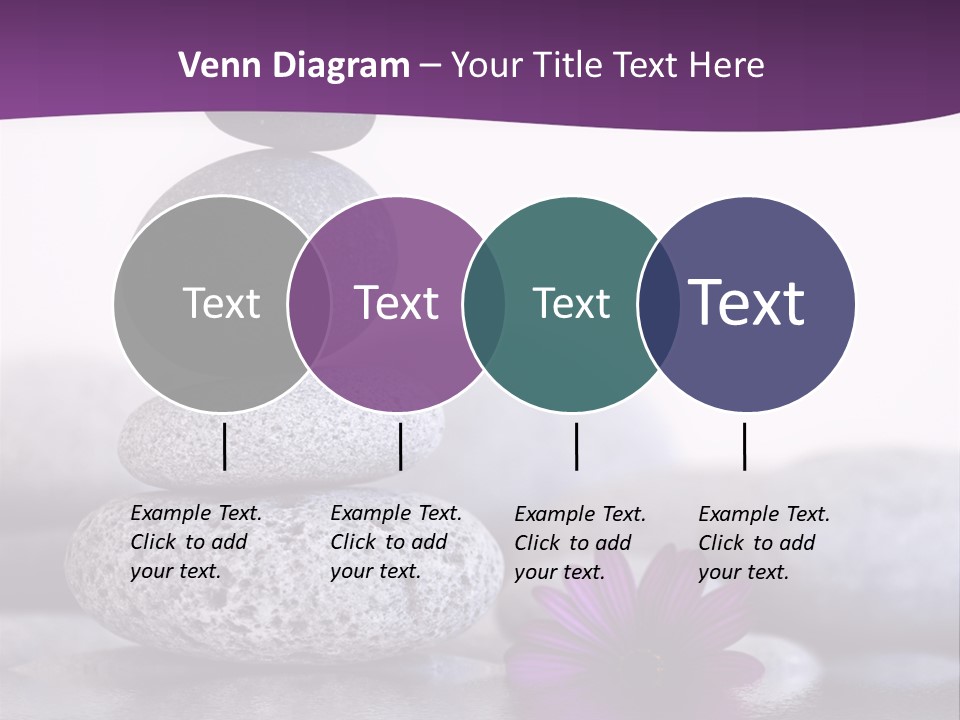 A Purple Flower Sitting On Top Of A Pile Of Rocks PowerPoint Template