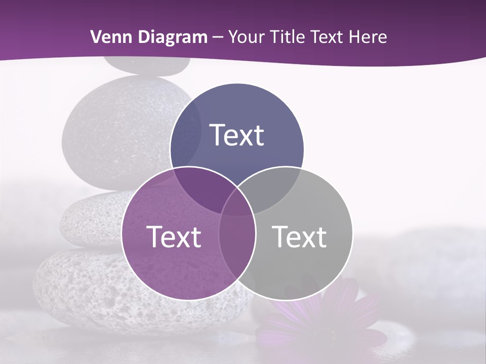 A Purple Flower Sitting On Top Of A Pile Of Rocks PowerPoint Template