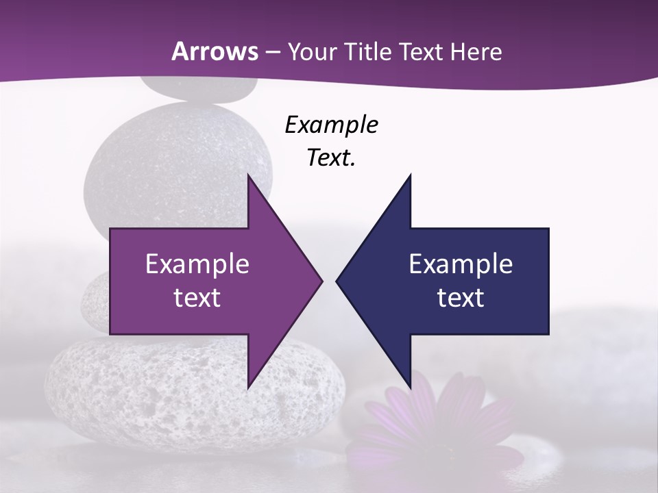 A Purple Flower Sitting On Top Of A Pile Of Rocks PowerPoint Template