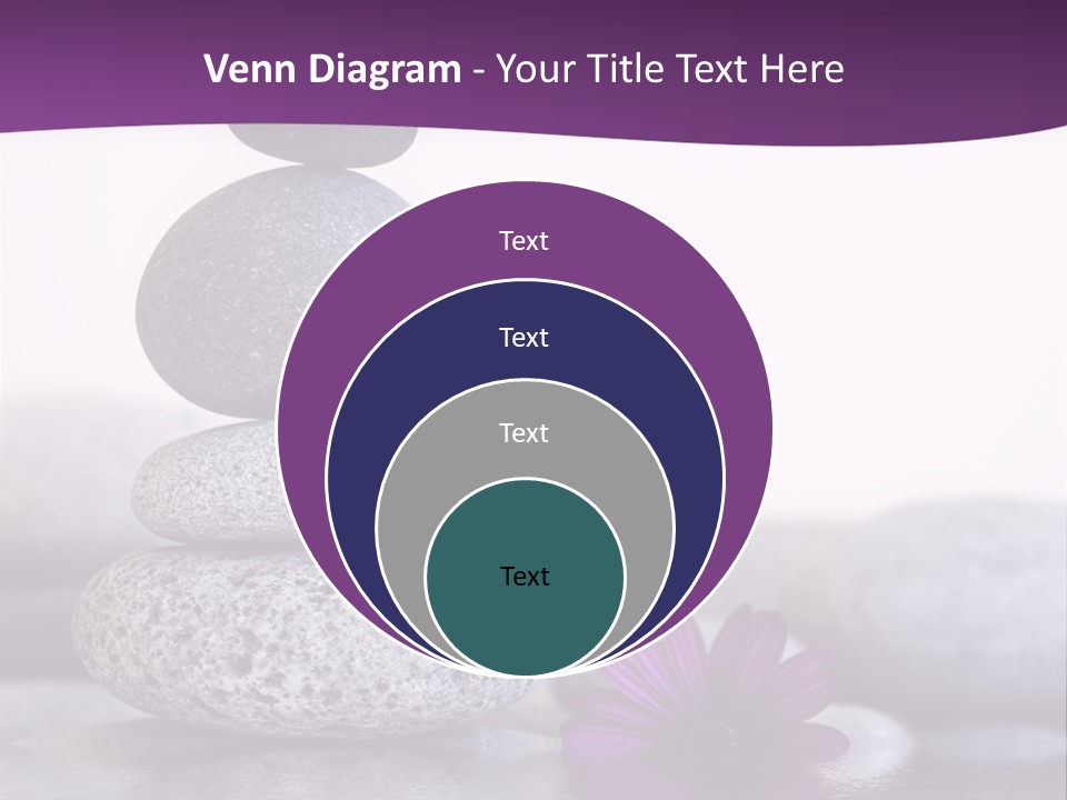 A Purple Flower Sitting On Top Of A Pile Of Rocks PowerPoint Template
