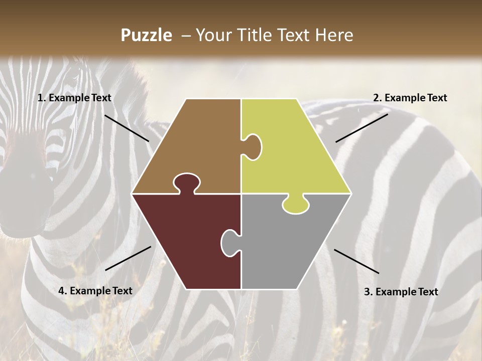 A Zebra Standing In A Field Of Tall Grass PowerPoint Template