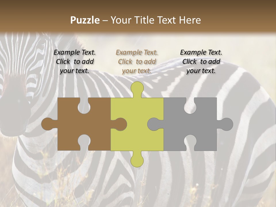 A Zebra Standing In A Field Of Tall Grass PowerPoint Template