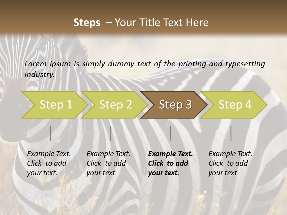A Zebra Standing In A Field Of Tall Grass PowerPoint Template