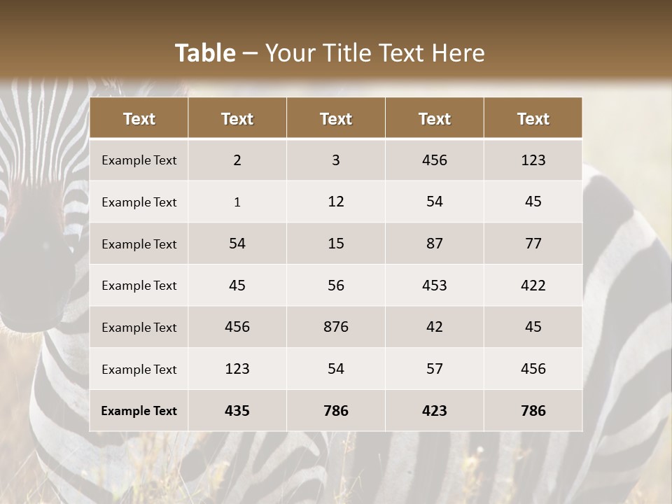 A Zebra Standing In A Field Of Tall Grass PowerPoint Template