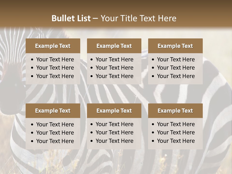 A Zebra Standing In A Field Of Tall Grass PowerPoint Template